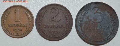 1,2,3 копейки 1924 года на оценку. - DSC_0821