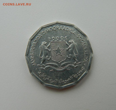 Сомали 10 центов 1976 г. (Фауна) С рубля! до 08.03.23 - DSCN9174.JPG