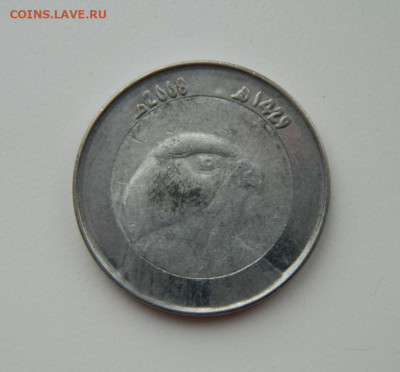 Алжир 10 динар 2008 г. (Фауна) БИМ С рубля! до 08.03.23 - DSCN9277.JPG
