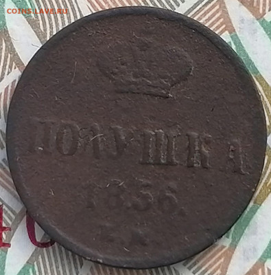 полушка 1856 ем до 7.03.2023 - полушка (1)