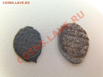 2 чешуйки на опознание - DSC02755.JPG
