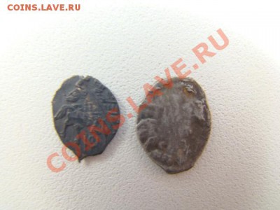 2 чешуйки на опознание - DSC02756.JPG