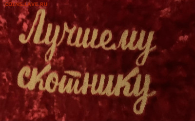 Вымпел«Лучшему скотнику»,на бархате. - 261F17CD-0848-48EB-8A45-1EA5C7D2640A