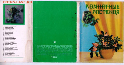 КОМПЛЕКТ КОМНАТНЫЕ РАСТЕНИЯ 1983 г. до 12.03.23 г. в 23.00 - 018