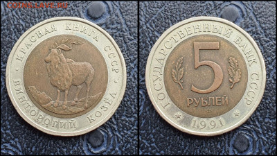 Винторогий Козел 5 рублей 1991 год. В коллекцию. До 10.03 - IMG_20230208_133634