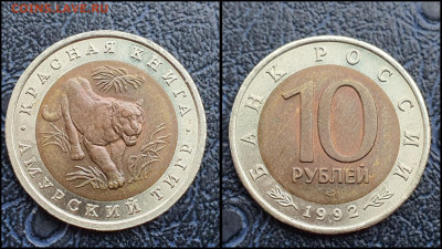 Амурский Тигр 10 рублей 1992 год. В коллекцию. До 10.03 - IMG_20230208_133636