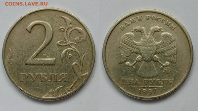 Вопросы по разновидностям от Дильмиевич - PhotoCollage_1678259806720