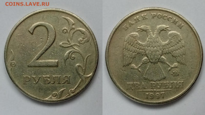 Вопросы по разновидностям от Дильмиевич - PhotoCollage_1678259734109