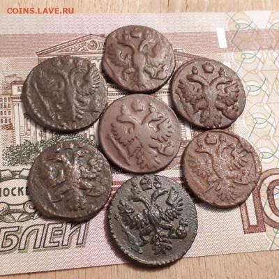 Полушка 1731,31,35,35,36,37,39г.до12.03.2023г.22-00мск - 20230228_000357