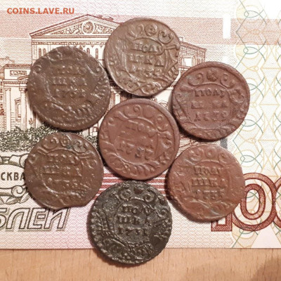 Полушка 1731,31,35,35,36,37,39г.до12.03.2023г.22-00мск - 20230228_000029 (1)