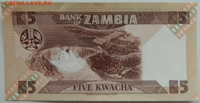 Замбия 5 квача 1980 г. С рубля! до 15.03.23 - DSCN9332.JPG