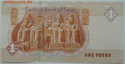 Египет 1 фунт 2017 г. С рубля! до 15.03.23 - DSCN9457.JPG