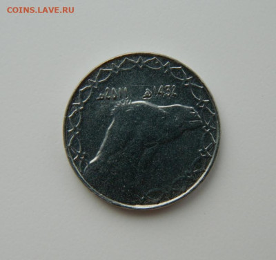 Алжир 2 динара 2011 г. (Фауна) С рубля! до 14.03.23 - DSCN9499.JPG