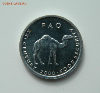 Сомали 10 шиллингов 2000 г(Юбил.)Фауна С рубля! до 16.03.23 - DSCN9683.JPG