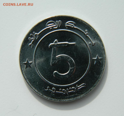 Алжир 5 динаров 2019 г. (Слон) С рубля! до 16.03.23 - DSCN9688.JPG
