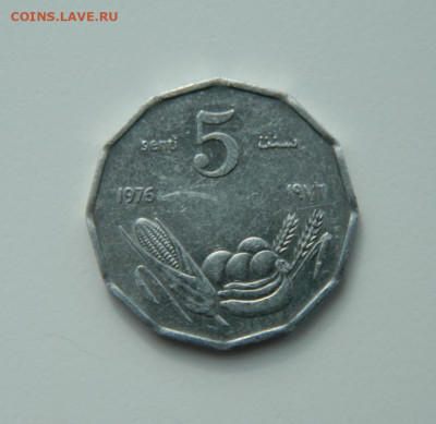 Сомали 5 центов 1976 г. С рубля!  до 14.03.23 - DSCN9677.JPG