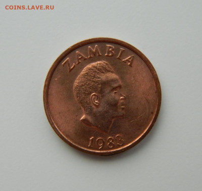 Замбия 2 нгве 1983 г.(Фауна) С рубля! до 14.03.23 - DSCN9518.JPG
