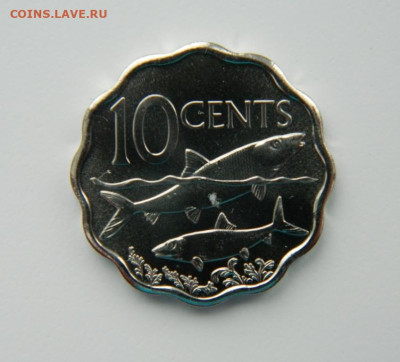 Багамские острова 10 центов 2010 г(Фауна)С рубля!до 16.03.23 - DSCN9760.JPG