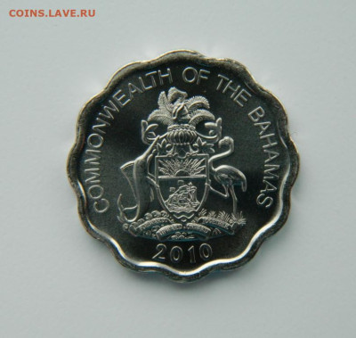 Багамские острова 10 центов 2010 г(Фауна)С рубля!до 16.03.23 - DSCN9761.JPG
