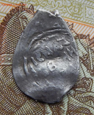 Чешуя Василия Темного - DSCN4785.JPG