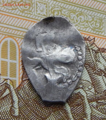 Чешуя Василия Темного - DSCN4776.JPG