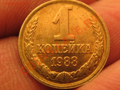 И снова копейки... - IMG_7195[1].JPG
