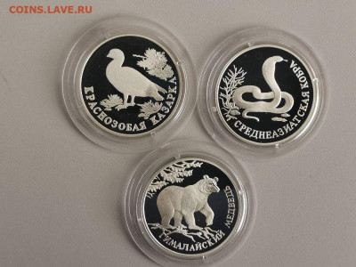 1р 1994 Крас книга. Казарка, Кобра, Медведь, Ag900, до 16.03 - Y КК 1994-1