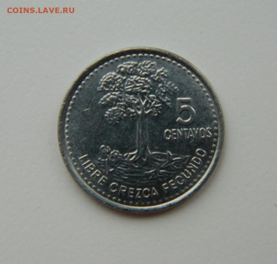 Гватемала 5 сентаво 2011 г. С рубля! до 21.03.23 - DSCN9855.JPG