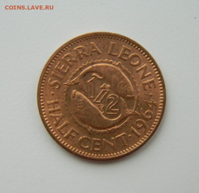 2 цента 1964 г.(Рыбы)  С рубля! до 21.03.23 - DSCN9840.JPG