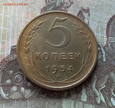 5 копеек 1954. До 19.03.23 в 22.00 - 20230315_154921