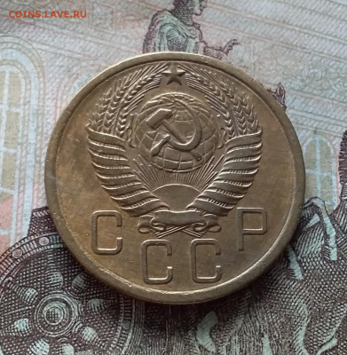 5 копеек 1955. До 19.03.23 в 22.00 - 20230315_155911