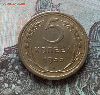 5 копеек 1955. До 19.03.23 в 22.00 - 20230315_155929
