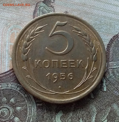 5 копеек 1956. До 19.03.23 в 22.00 - 20230315_160249