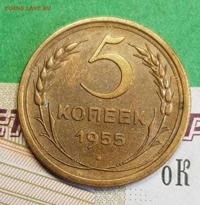 5 копеек 1955   до 22:00 по МСК 21.03.23 - 20230315_164809