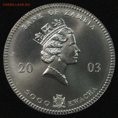 Замбия 2003 5000 квача UNC до 18.03 - Замбия 5000 квач 2003 африканские слоны