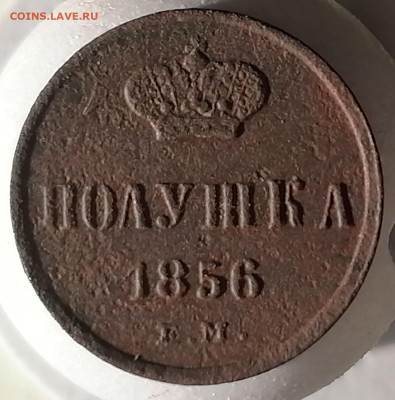 полушка 1856 ем до 19.03.2023 - полушка (1)