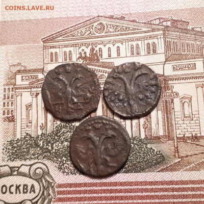 Полушки ВРП 1719,19,20г. до19.03.2023г.22-00мск - 20230315_230632
