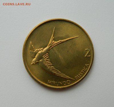 Словения 2 толара 1995 г.(Фауна) С рубля!  до 23.03.23 - DSCN0125.JPG