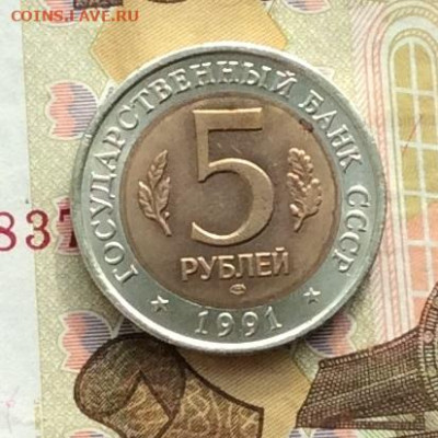 Красная книга  5р Филин  до 23.03.23г - IMG_4241.JPG