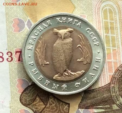 Красная книга  5р Филин  до 23.03.23г - IMG_4239.JPG