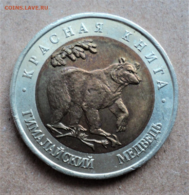 50 рублей 1993 г. Гималайский медведь до 26.03. - DSC05106.JPG