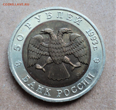 50 рублей 1993 г. Гималайский медведь до 26.03. - DSC05107.JPG
