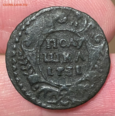 Полушки 1731, 1734, 1735 годов. До 26.03.23 22:00 - F81CADE7-F38B-48D6-B08C-EE7A45AE2C34