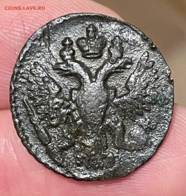 Полушки 1737, 1738, 1748, 1749 годов. До 26.03.23 22:00 - FF8B3A9E-9BCB-4E02-AE47-B2D142A2A4F6