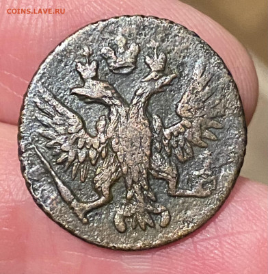 Полушки 1737, 1738, 1748, 1749 годов. До 26.03.23 22:00 - 6C6D3E85-01CA-4515-A0AA-817C1BCAEF7E