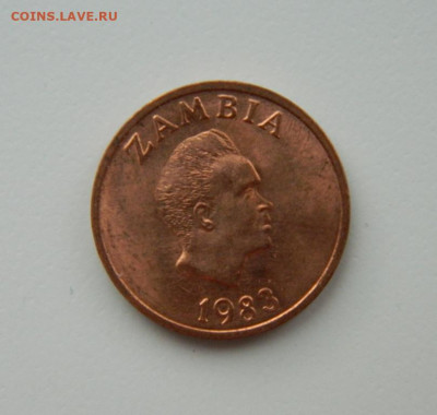 Замбия 1 нгве 1983 г. (Фауна) С рубля! до 28.03.23 - DSCN9813.JPG