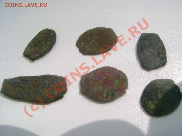 медная чешуя 6 шт. до 23,06,09 в 21-00 - DSC03144.JPG