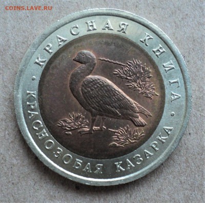 10 рублей 1992г. Краснозобая казарка. до 26.03. - DSC05003.JPG