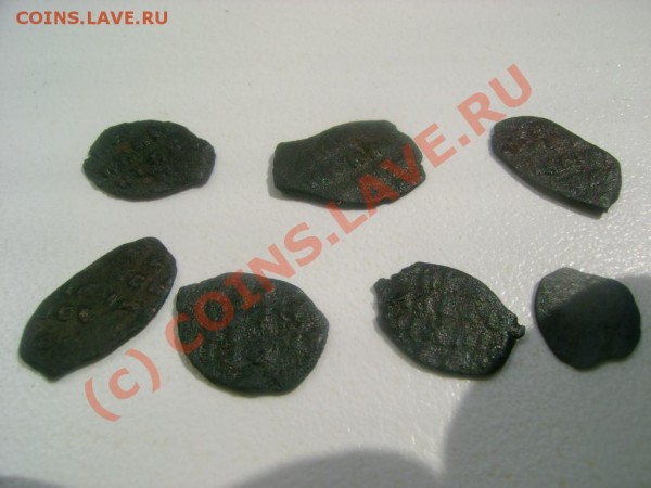 медная чешуя 6 шт. до 23,06,09 в 21-00 - DSC03146.JPG