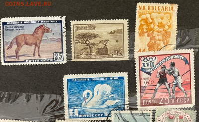 Марки Чехословакии, СССР и пр. на оценку - 24